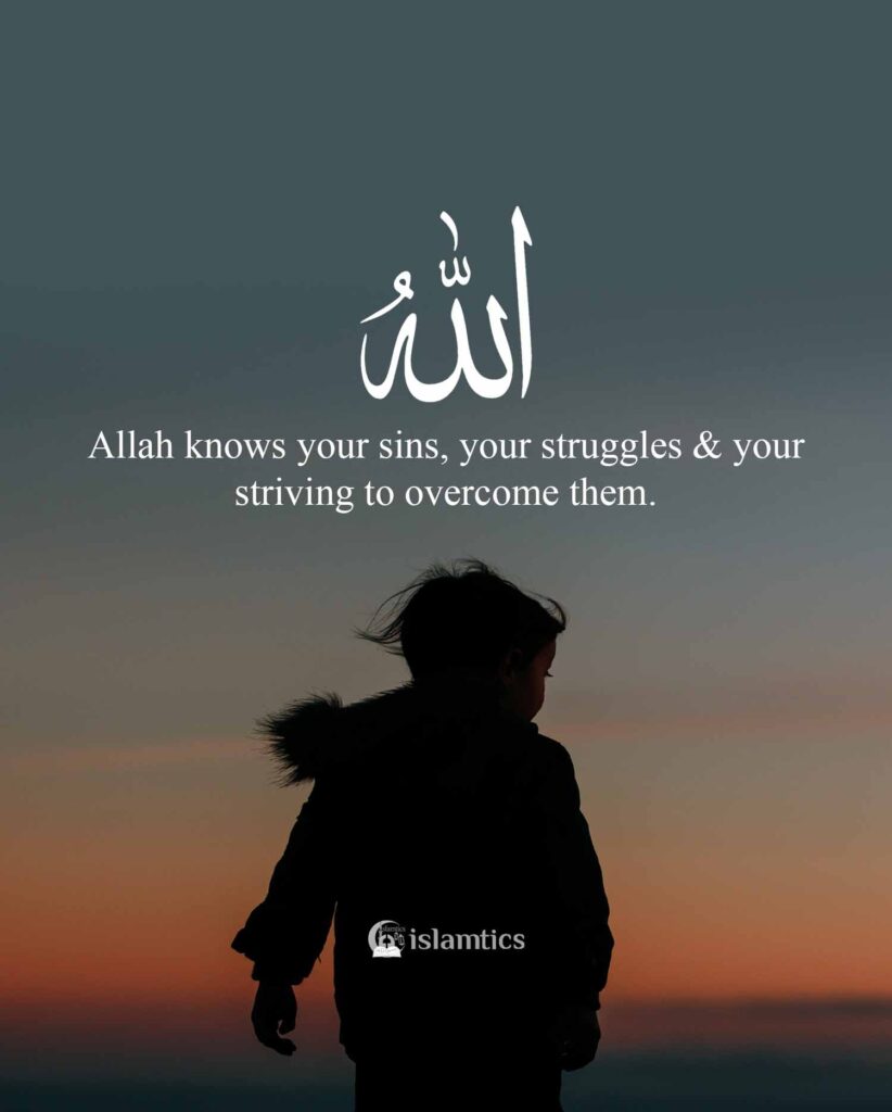 Allah knows your sins, your struggles & your striving to overcome them.