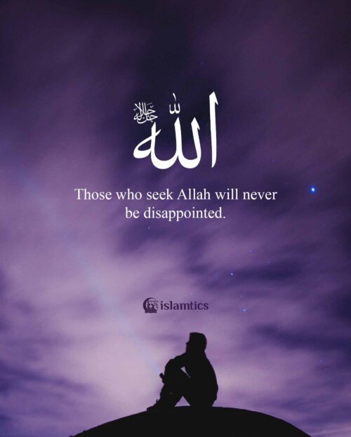 Those who seek Allah will never be disappointed. | islamtics