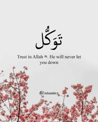 Trust in Allah ﷻ. He will never let you down