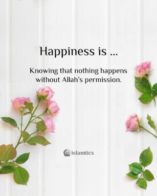 Happiness is Knowing that nothing happens without Allah’s permission.