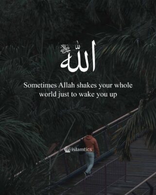 Sometimes Allah shakes your whole world just to wake you up
