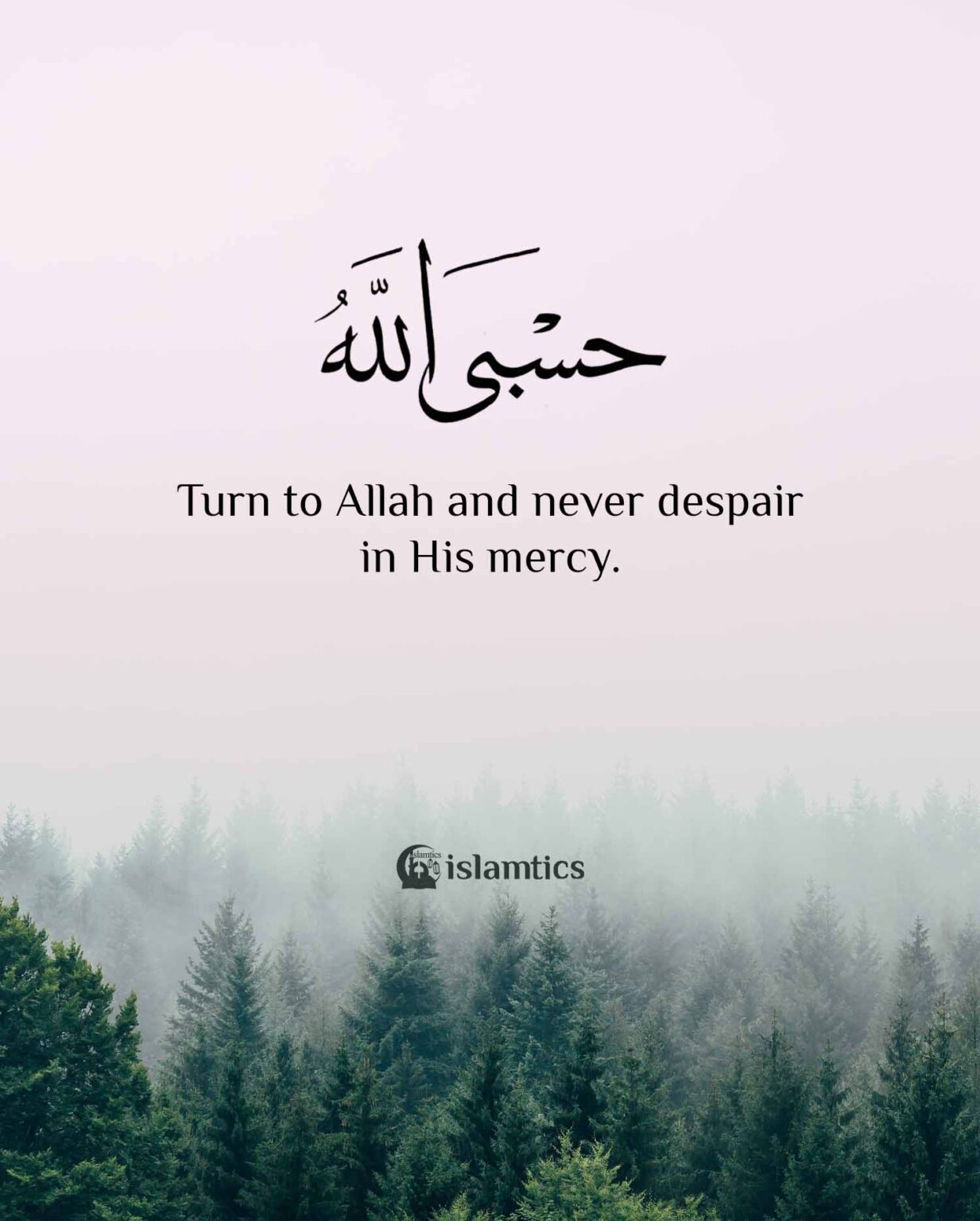 Turn to ALLAH ﷻ and never despair in His Mercy. | islamtics