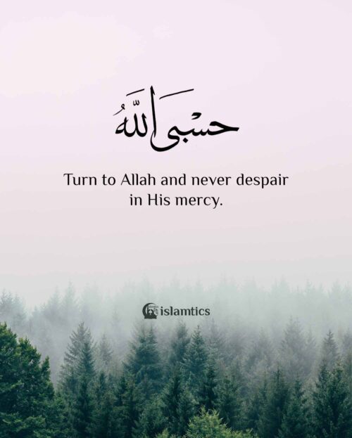 don't despair the mercy of allah