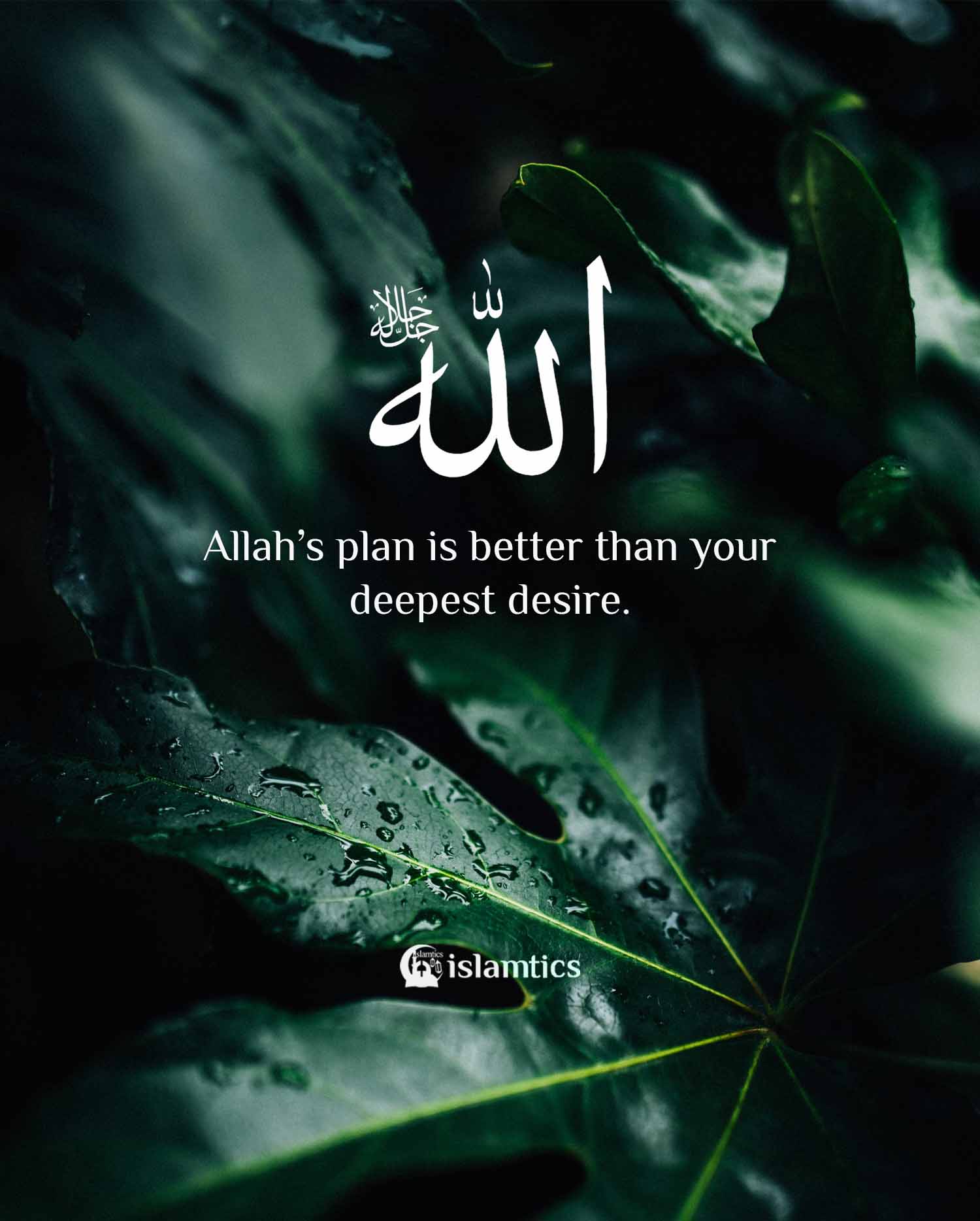 allah-s-plan-is-better-than-your-deepest-desire-islamtics