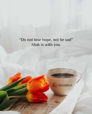 Do not lose hope, not be sad” Allah is with you.