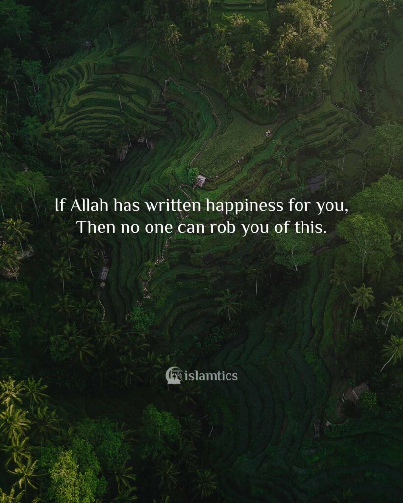 If Allah has written happiness for you, Then no one can rob you of this.