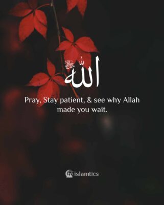 Pray, Stay patient, & see why Allah made you wait.