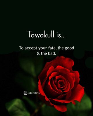 Tawakull is To accept your fate, the good & the bad.