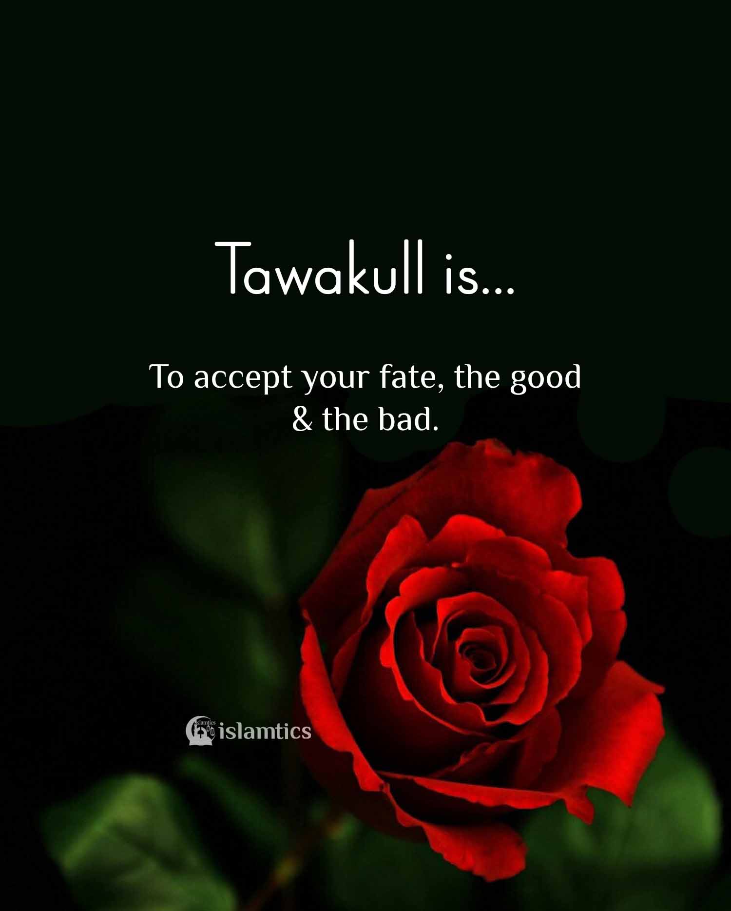 Tawakull Is To Accept Your Fate The Good And The Bad Islamtics