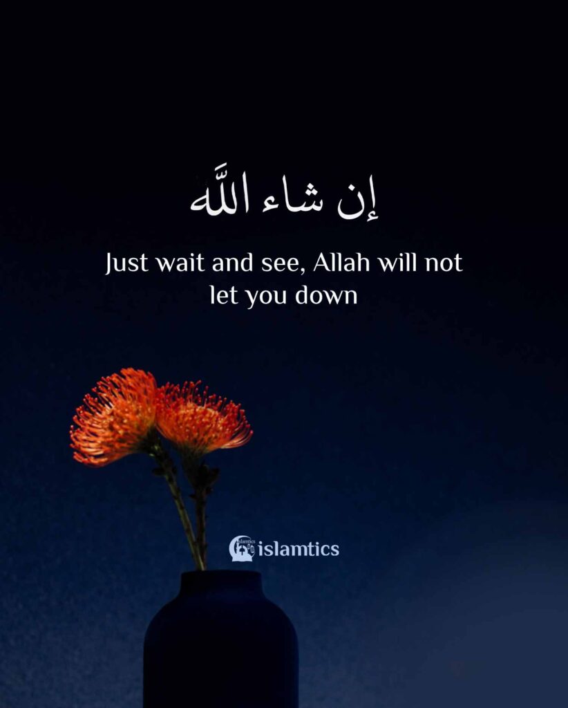 Just wait and see, Allah will not let you down InshaAllah