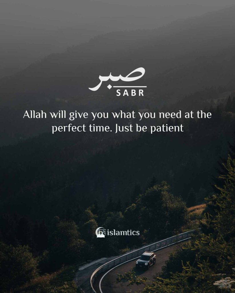 Allah will give you what you need at the perfect time. Just be patient