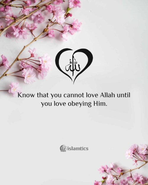 Know that you cannot love Allah until you love obeying Him. | islamtics