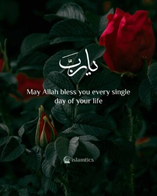 May Allah bless you every single day of your life