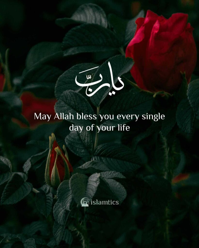 May Allah bless you every single day of your life