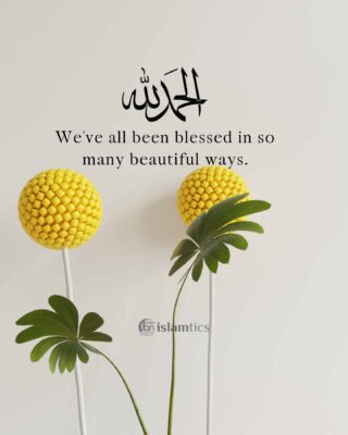 We’ve all been blessed in so many beautiful ways. Alhamdulillah