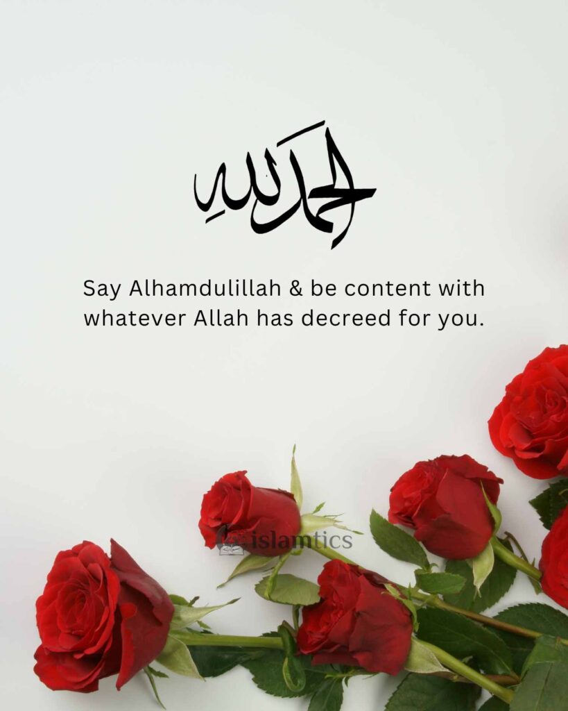 Say Alhamdulillah & be content with whatever Allah has decreed for you.