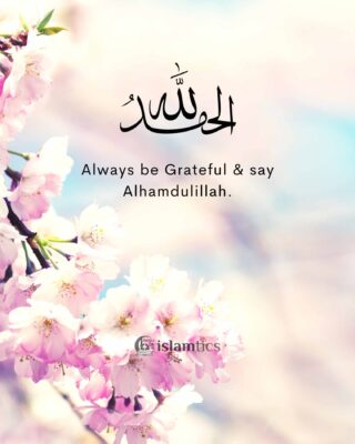 Always be Grateful & say Alhamdulillah.