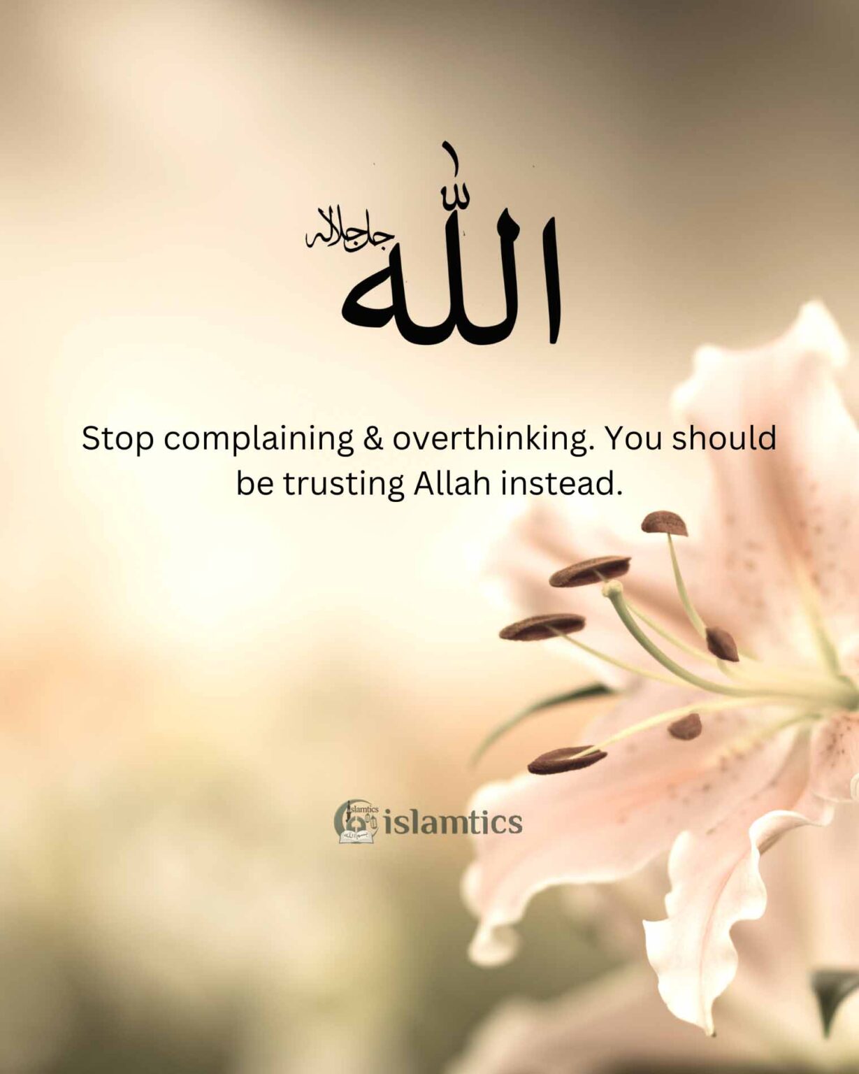 Make Dua & leave everything to Allah. | islamtics