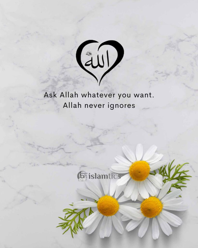 Ask Allah whatever you want Allah never ignores
