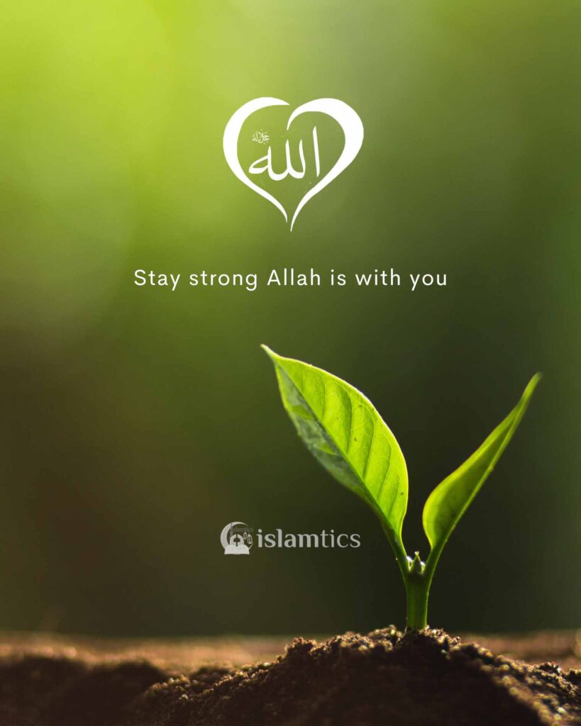 Stay strong Allah is with you