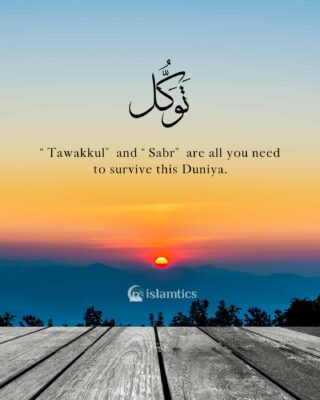 “Tawakkul” & “Sabr” are all you need to survive this Duniya.