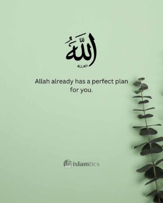 Allah already has a perfect plan for you.