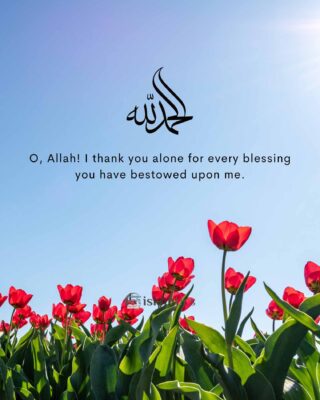 Oh Allah I thank you alone for every blessing you have bestowed upon me.