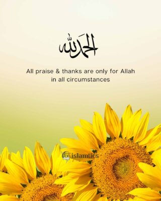 All praise & thanks are only for Allah in all circumstances