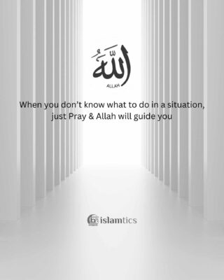 When you don’t know what to do in a situation, just Pray & Allah will guide you