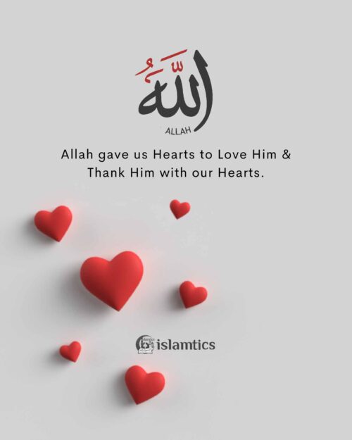 Allah gave us Hearts to Love Him and thank Him with our Hearts.