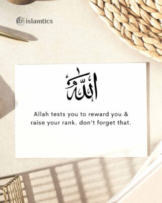 Allah tests you to reward you & raise your rank. don’t forget that.