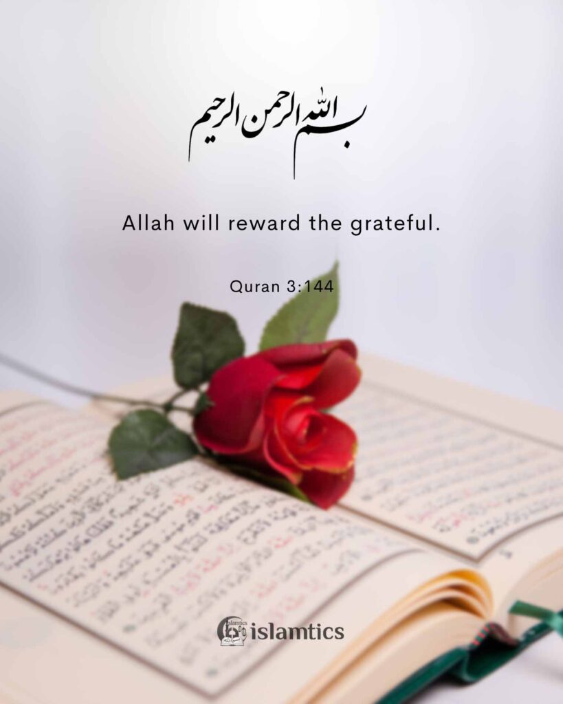 Allah will reward the grateful.