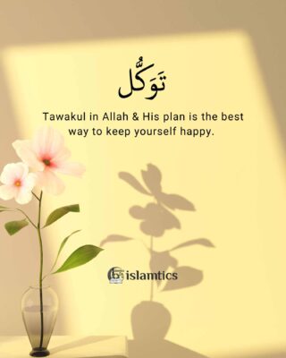 Tawakul in Allah & his plan is the best way to keep yourself happy.