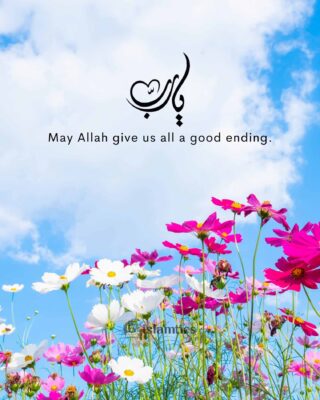 May Allah give us all a good ending.