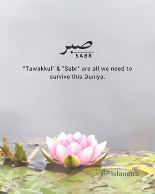 “Tawakkul” & “Sabr” are all we need to survive this Duniya.