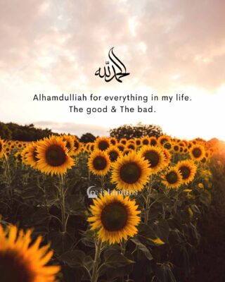 Alhamdulliah for everything in my life. The good & bad.
