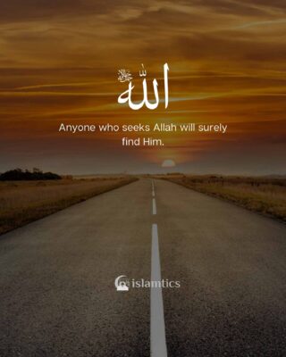 Anyone who seeks Allah will surely find him.