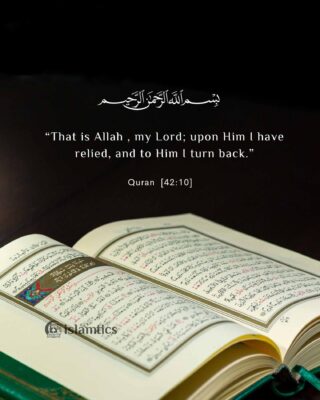 "That is Allah, my Lord; upon Him, I have relied, and to Him I turn back. "