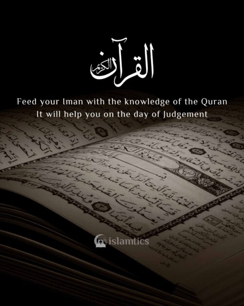 Feed your IMAAN with the knowledge of Quran It will help you on the day of Judgement