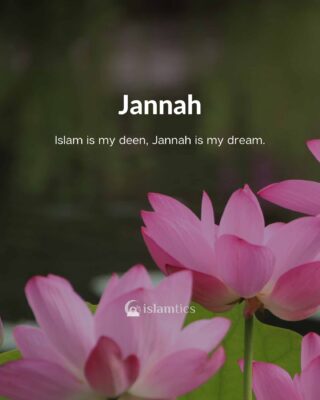 Islam is my deen, Jannah is my dream.