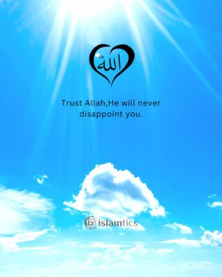Trust Allah, He will never disappoint you