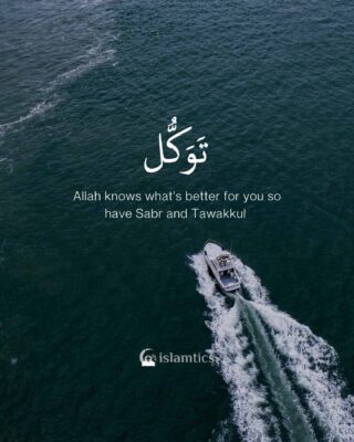 Allah knows what's better for you so have Sabr and Tawakkul