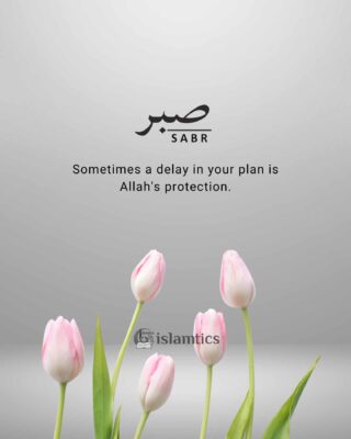 Sometimes a delay in your plan is Allah's protection.