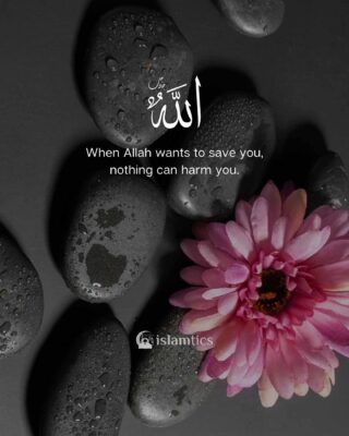 When Allah wants to save you, nothing can harm you.