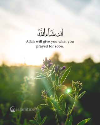 Allah will give you what you prayed for soon.