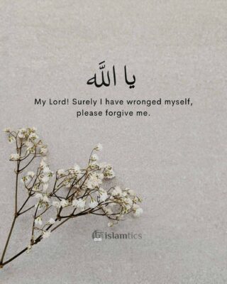 My Lord! Surely I have wronged myself, please forgive me.