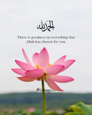 There is goodness in everything that Allah has chosen for you.