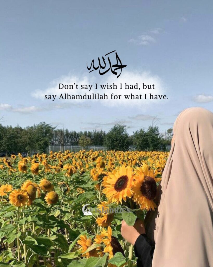Don’t say I wish I had but say Alhamdulilah for what I have.