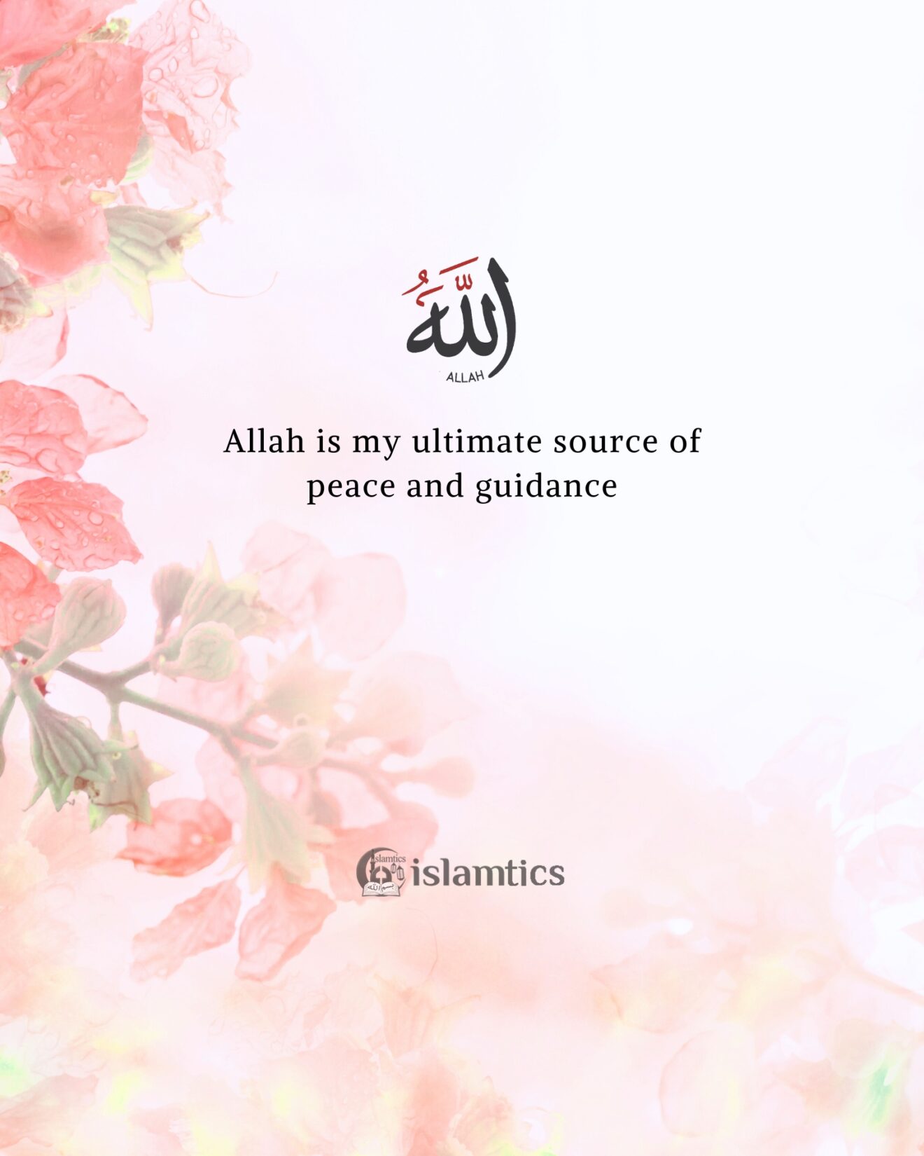 Allah is my ultimate source of peace and guidance