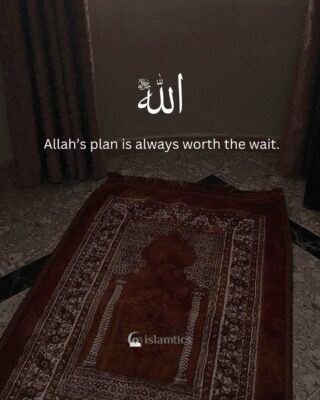 Allah’s plan is always worth the wait.